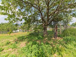 Holiday Home in Marche-en-famenne With Garden