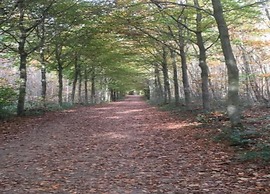 Comfortable Chalet in Durbuy