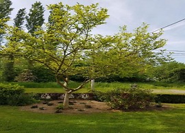 Comfortable Chalet in Durbuy