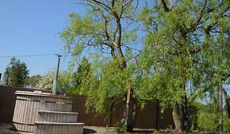 Spacious Bungalow With Large Garden