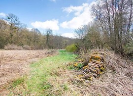 Nature Chalet in Somme-leuze