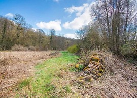 Nature Chalet in Somme-leuze