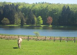 Chalet in Geel in Quiet Location by the Water