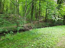House in Rochefort With Large Park Where the Ave Flows