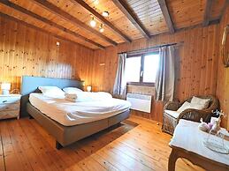 Beautiful Chalet With a Garden