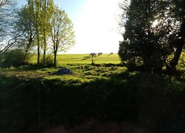 Apartment With a View of Durbuy Golf Course