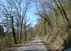 Apartment With a View of Durbuy Golf Course