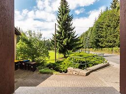 Apartment in Saxon With Terrace