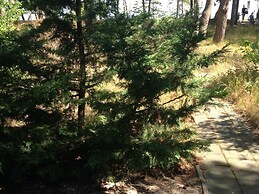 Holiday Home With Direct Access to the Beach