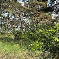 Holiday Home With Direct Access to the Beach