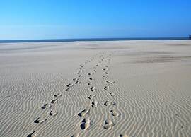 Comfortable Apartment in Oostende With sea Views