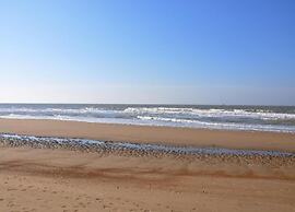 Comfortable Apartment in Oostende With sea Views