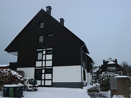 Inviting Apartment in Winterberg Near the ski Area