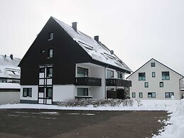 Apartment in Winterberg Near the ski Area