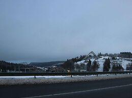 Apartment in Winterberg Near the ski Area