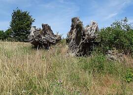 Family-friendly Timmenrode Stay