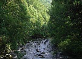 Family-friendly Timmenrode Stay