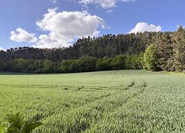 Family-friendly Timmenrode Stay
