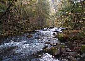 Family-friendly Timmenrode Stay