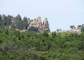 Family-friendly Timmenrode Stay