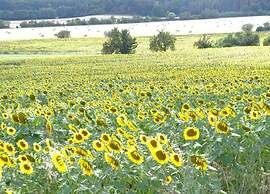 Family-friendly Timmenrode Stay