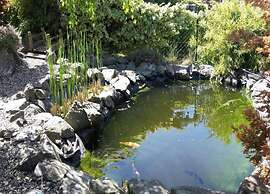 Wohnung in Frankenberg fur Radfahrer