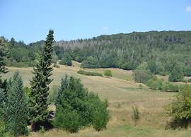 Wohnung in Frankenberg fur Radfahrer