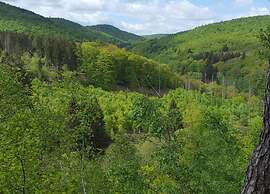 Wohnung in Frankenberg fur Radfahrer