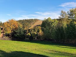Holiday Home With Terrace Near the ski Area