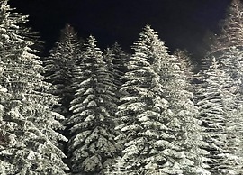 Holiday Home With Terrace Near the ski Area