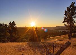 Holiday Home With Terrace Near the ski Area