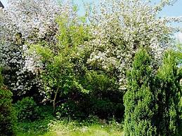 Spacious Holiday Home in the Beautiful Eifel