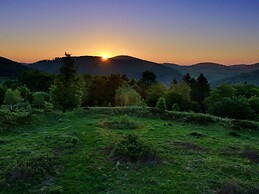 Apartment Near Willingen With Garden