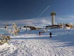 Apartment Near Willingen With Garden