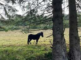 Apartment Near Willingen With Garden