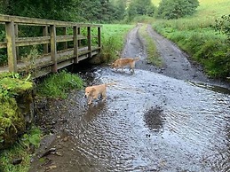 Apartment Near Willingen With Garden