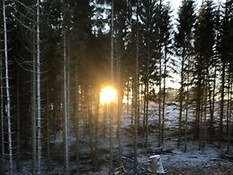 Holiday Home Near Harzgerode With Whirlpool