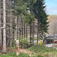 Holiday Home Near Harzgerode With Whirlpool