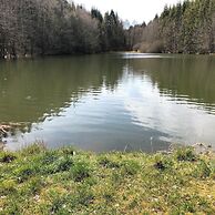 Holiday Home Near Harzgerode With Whirlpool