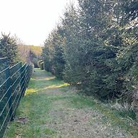 Holiday Home Near Harzgerode With Whirlpool