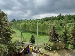 Holiday Home in the Harz Mountains With Garden