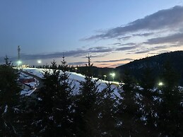 Apartment in Winterberg With Balcony