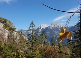 Holiday Flat in Schonau am Konigssee