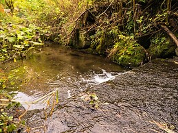 Holiday Home in Willingen With Garden