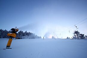 Holiday Home in Willingen With Garden