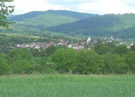 Ferienwohnung in Herbolzheim