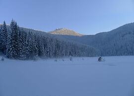Apartment in the Bavarian Forest With Sauna