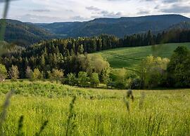 Holiday Home in the Ortenau District