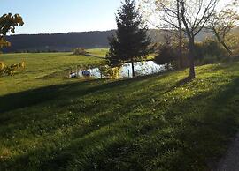 Holiday Home in the Ortenau District