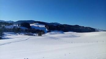 Flat in Wildsteig With Furnished Garden